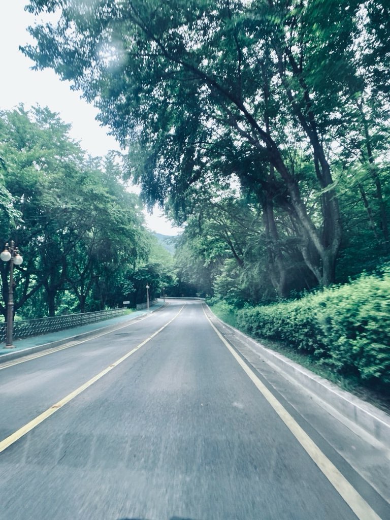 경북 구미시 금오산올레길