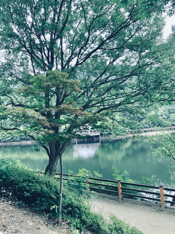 경북 구미시 금오산올레길(금오저수지)